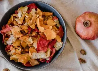 Comment fonctionne la lyophilisation et quels sont ses avantages ?