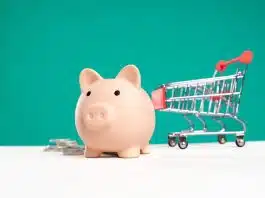 Vibromasseur : comment définir votre budget et trouver celui qui correspond