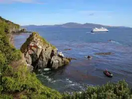 Les beaux endroits à visiter au Cap Horn
