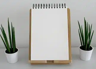 Cahier de texte pour collège : comment l’utiliser efficacement pour réussir son année