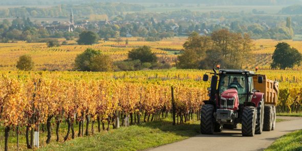 Timac Agro : pour une réponse sur-mesure et durable aux questions des agriculteurs