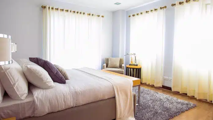 Éradication professionnelle des punaises de lit : solutions efficaces et tarifs