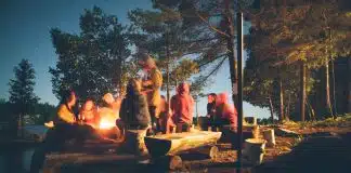 group of people near bonfire near trees during nighttime