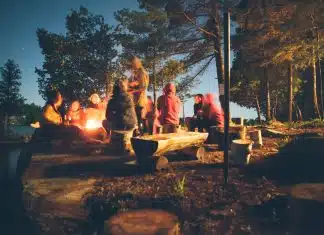 group of people near bonfire near trees during nighttime