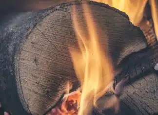 Le range-bûches parfait pour votre maison ! Le range-bûches parfait pour votre maison !