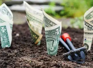 Plan Épargne Retraite : Les Meilleurs Placements pour Votre Argent