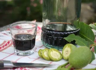 Comment faire du vin de noix ? la fabrication du vin de noix